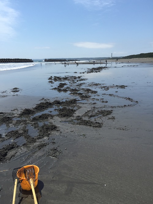 がらーんとしてます