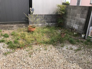 荒れ果てた家庭菜園