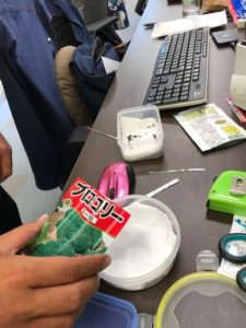 今度はブロッコリーやキャベツなど、アブラナ科に挑戦です！まずは発芽から。