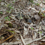 20160409100651-5298819