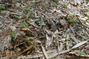 20160409100651-5298819