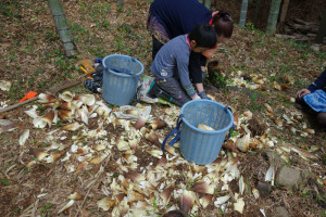 20160409111741-6010602