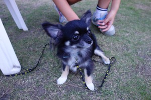 20160730183432-4634995