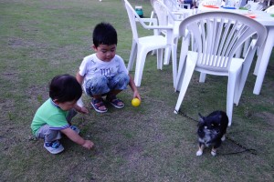 20160730183545-5277932