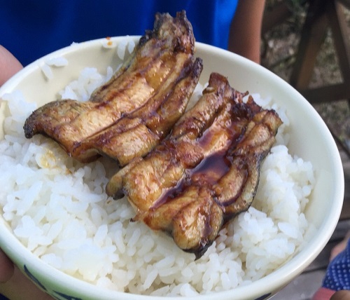 それでもうな丼です!