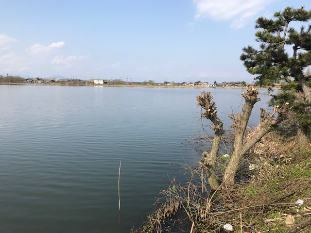 ここは巨大なナマズを釣った場所