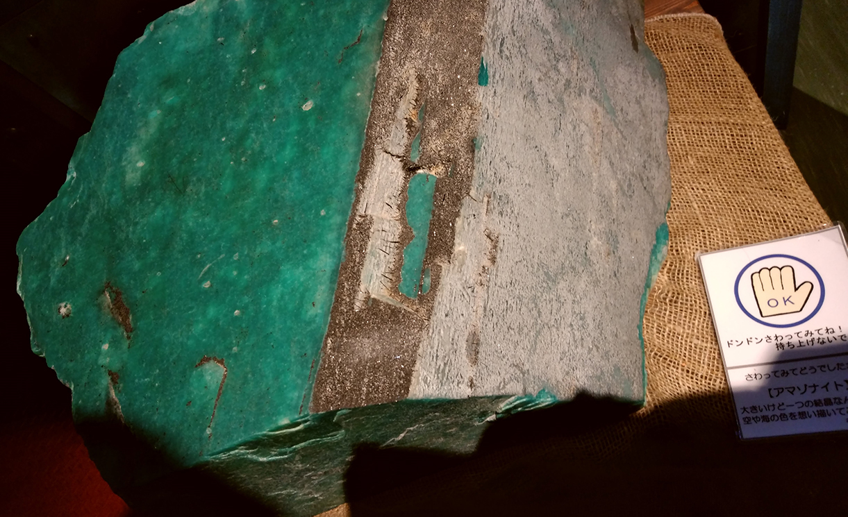 ゴールデンウィークの思い出 株式会社オブジィ 静岡県藤枝市