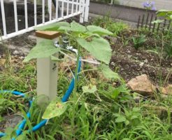 こんなところにも・・・・