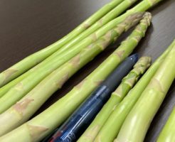 採れたアスパラ