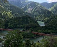 これが湖上駅！10年通って初めて見た・・