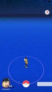 もちろん海の上にはなにもいなかった・・・・