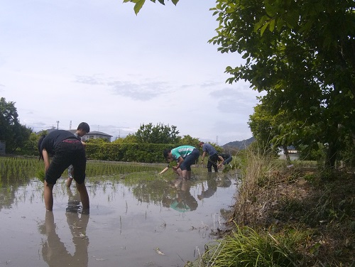 暑い日差しの中頑張りました～