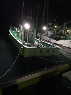 これがお世話になってる船