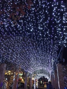 %e3%83%88%e3%83%b3%e3%83%8d%e3%83%ab1